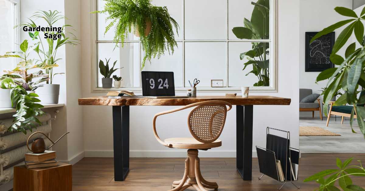 A serene and organized home office setup featuring ergonomic furniture, natural light, and elements of nature, designed to boost productivity and reduce stress