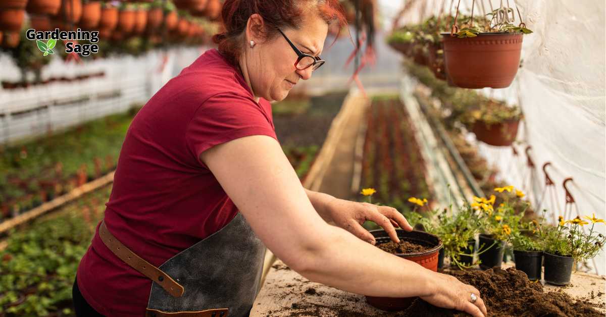 A dedicated gardener tending to plants in a greenhouse, illustrating the importance of year-round plant care and nurturing for a flourishing garden.