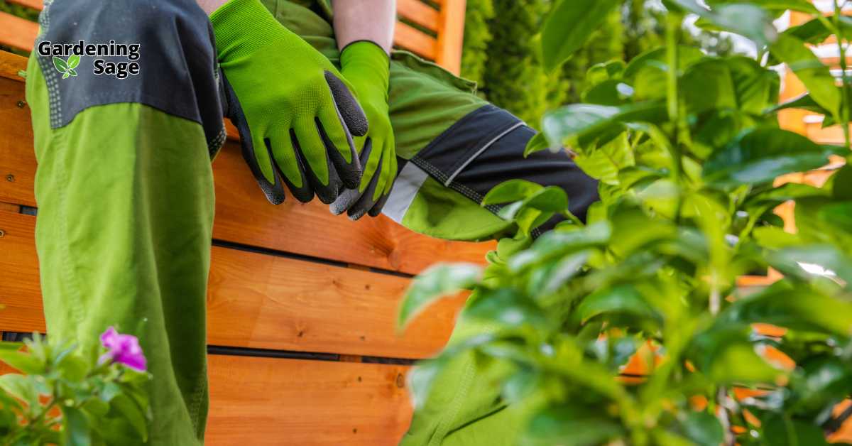 The image captures a gardener at work, focusing on planting and tending to young plants in a raised garden bed. This illustrates practical and effective tips for starting a garden from scratch. Key strategies include choosing the right location that provides adequate sunlight, selecting appropriate soil for specific plant types, and utilizing raised beds or containers to enhance drainage and ease of access. These elements are crucial for a successful start in gardening, enabling plants to thrive by providing them with the best possible growing conditions. This approach simplifies garden management and can lead to a flourishing green space even for beginners.