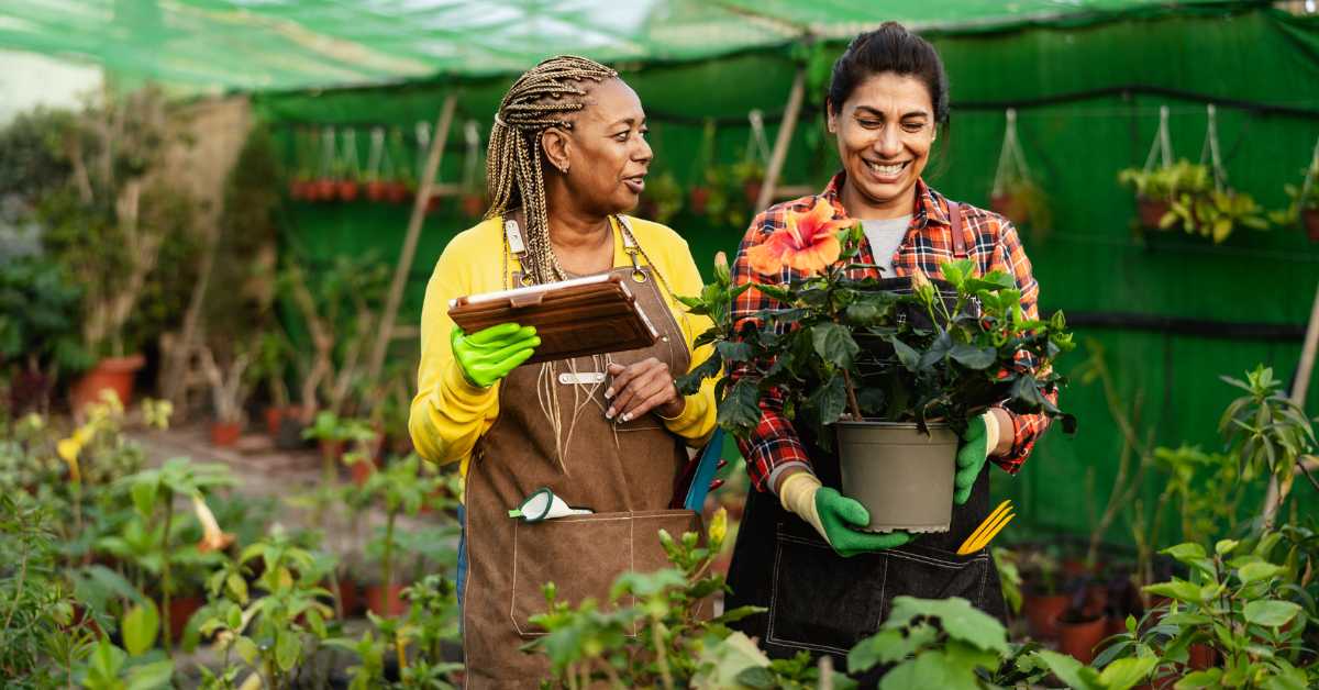 The image captures two women, one holding a clipboard and the other holding a potted plant, both engaged in gardening within a greenhouse. Their expressions of joy and collaboration highlight the community aspect of sustainable gardening. This setting underscores the importance of sharing knowledge and experience, which is vital for promoting sustainable practices. The use of a greenhouse illustrates a method to extend the growing season and enhance plant growth in a controlled environment, contributing to more sustainable and efficient gardening practices.