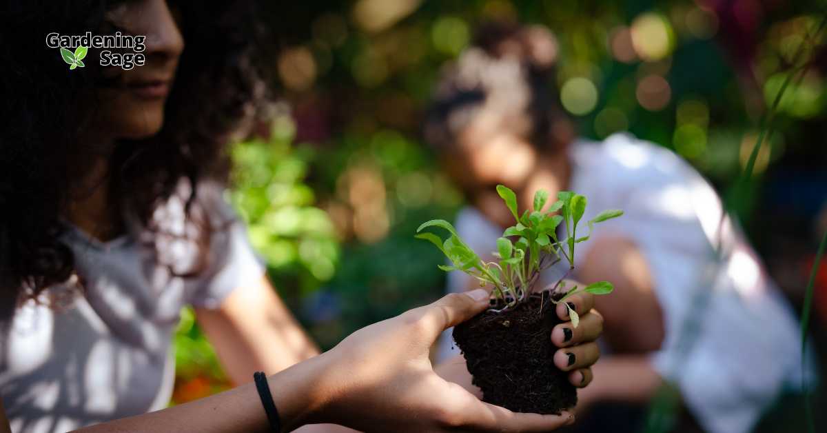 This image shows a person holding a small seedling in their hand, preparing to plant it in a garden. The seedling has a healthy root ball and is ready for transplanting. In the background, another person is also engaged in gardening, though slightly out of focus, indicating a collaborative gardening activity. The scene is set outdoors with natural light filtering through, creating a serene and focused atmosphere. The image captures the essence of hands-on, sustainable gardening, emphasizing the care and attention given to nurturing plants from a young stage. It highlights the connection between people and nature, and the joy of cultivating growth.