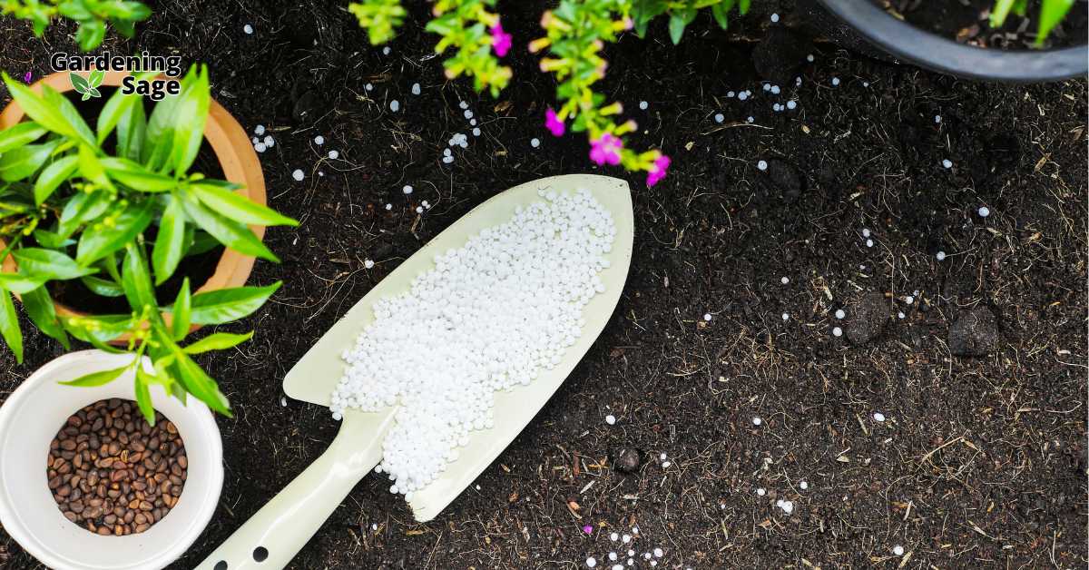 This image showcases a gardening scene focused on the application of fertilizer, illustrating the balance between organic and chemical options for nourishing garden plants. The photograph captures a close-up view of a soil surface scattered with both types of fertilizers, depicted by the small granules visible in the frame. A gardening shovel, filled with a pile of white chemical fertilizer, contrasts with the bowl of dark organic pellets, emphasizing the diversity of gardening practices aimed at promoting plant health and soil vitality. The backdrop features vibrant plants, suggesting the lush growth that effective fertilization can achieve. This setting serves as an educational snapshot into the various methods gardeners can employ to enrich their soil and enhance their garden's productivity.