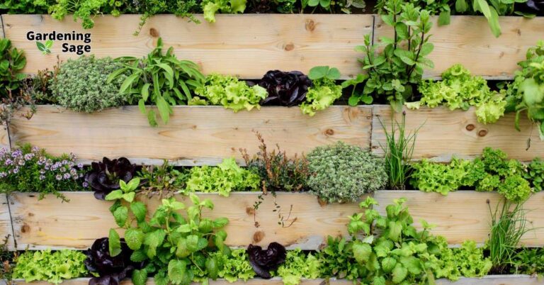 This image showcases an innovative vertical garden, efficiently utilizing wooden planks as planters for an array of herbs and leafy greens. The design is not only a space saver but also enhances the visual appeal of any area, turning a plain wall into a lush, edible garden. This setup is ideal for small spaces, patios, or urban environments where ground space is limited. It exemplifies how vertical gardening can be both functional and beautiful, providing fresh ingredients right at your doorstep while contributing to urban greening and biodiversity.