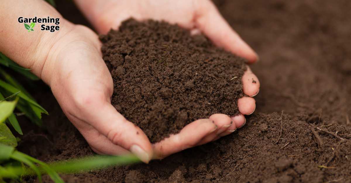 A close-up image of a pair of hands holding rich, dark soil with small green plants in the background, symbolizing soil health and organic gardening.