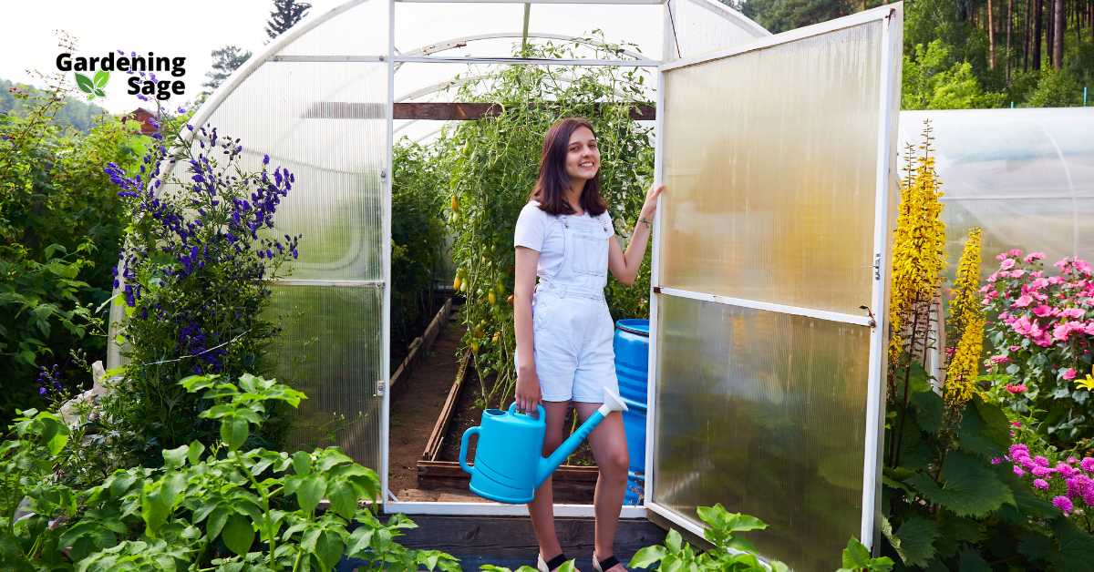 This image features a young woman tending to her plants inside a greenhouse. The scene captures a variety of flourishing plants, emphasizing the vibrant environment that a well-maintained greenhouse can offer. Greenhouses like this are fantastic for extending the growing season, protecting plants from harsh weather, and controlling the environment for more delicate species. The young woman, equipped with a watering can, symbolizes the nurturing care required to maintain such a vibrant garden space. This setup is ideal for growing a wide range of plants, providing them with a stable, controlled environment that can mitigate the challenges posed by intense summer heat. The inclusion of a variety of plants, including tomatoes and flowers, showcases the versatility of a greenhouse in supporting diverse horticultural projects.