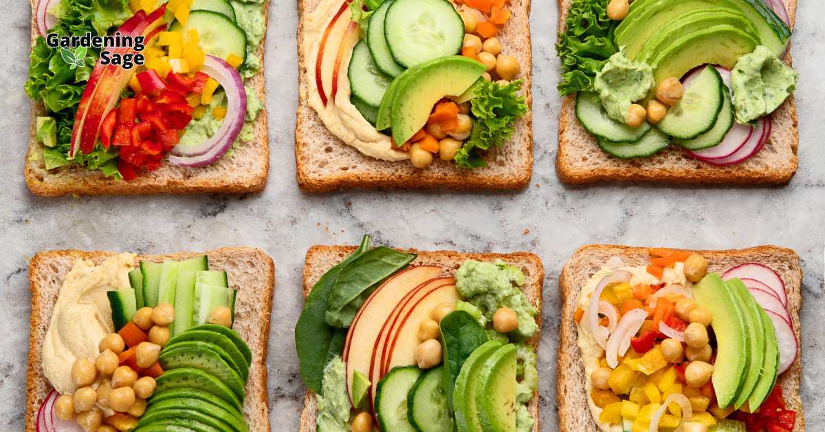 This image showcases six slices of whole grain bread topped with an array of colorful, fresh plant-based ingredients. Each slice features a unique combination of vegetables, hummus, and avocado, creating a variety of open-faced sandwiches. The toppings include sliced cucumbers, avocados, radishes, bell peppers, chickpeas, leafy greens, and thinly sliced apples, among other vibrant ingredients. These sandwiches are arranged beautifully, demonstrating healthy and creative options for plant-based meals. The overall presentation emphasizes the use of fresh, nutritious ingredients and highlights the appeal of a diverse plant-based diet.