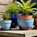 Colorful gardening pots with plants on a sunlit wooden table, showcasing terracotta, ceramic, and concrete varieties.